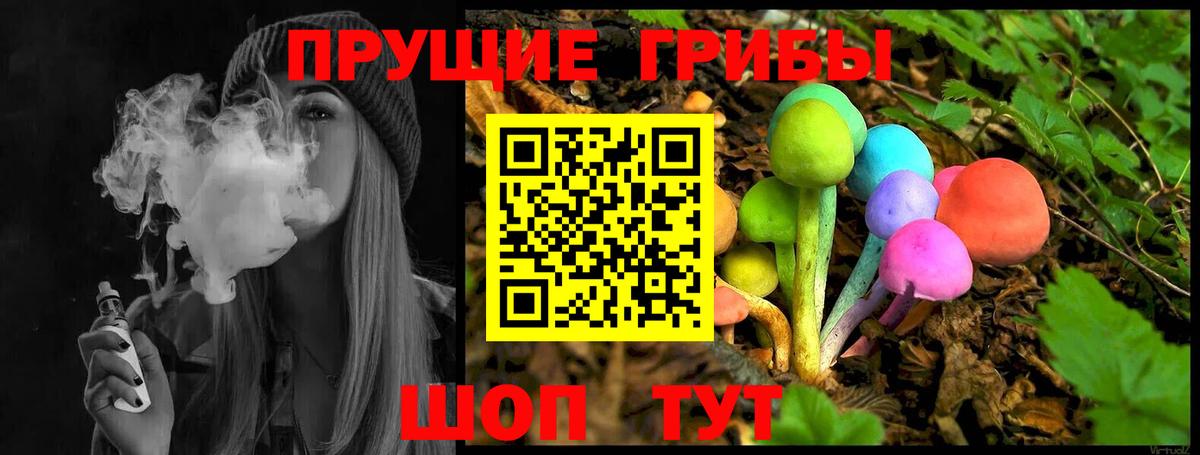 Псилоцибиновые грибы GOLDEN TEACHER  где купить   Вход с VPN  Менделеевск  Псилоцибиновые грибы Psilocybe 